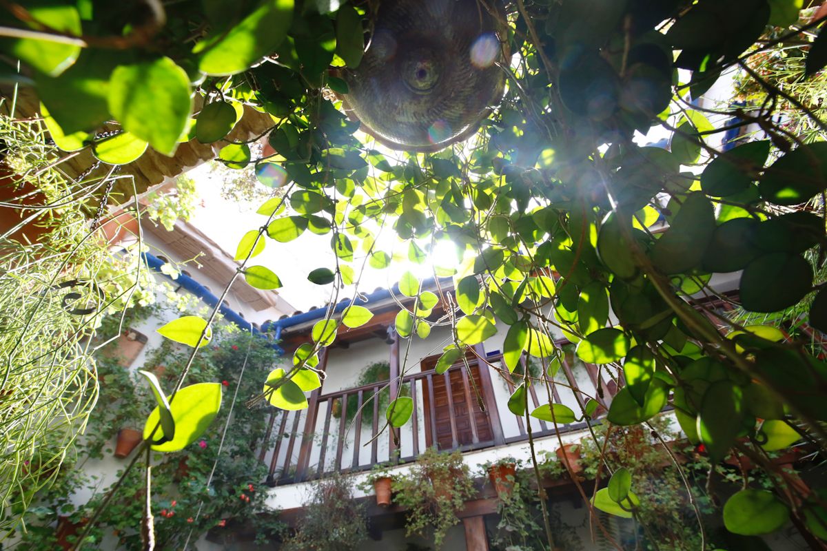 El frescor de los patios cordobeses en verano