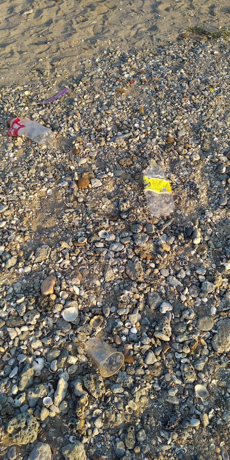 Bañistas denuncian la presencia de basura de botellones en la playa de la Pobla de Farnals