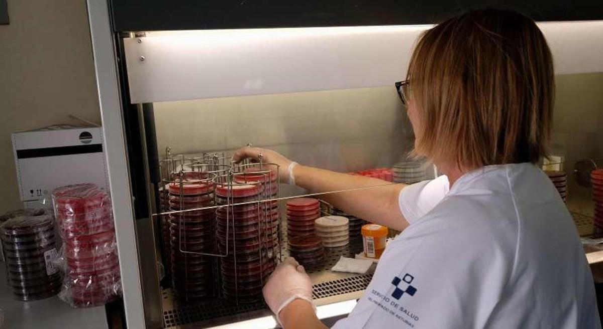 El Hospital de Riaño redujo las infecciones quirúrgicas a la mitad en ocho meses