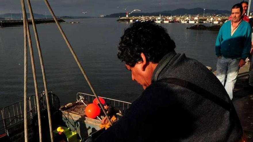 Un marinero descarga cajas de sardina en un puerto gallego.