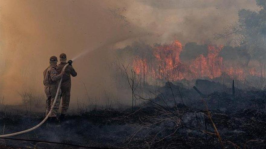 Las emisiones de CO2 de los incendios multiplican el efecto invernadero