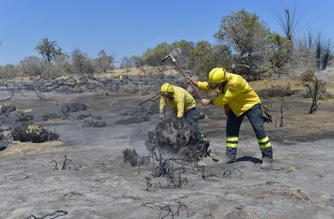 Incendio en la zona de las dunas de Maspalomas