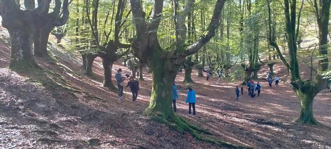 El hayedo de Otzarreta en la falda del monte Gorbea de Bizkaia