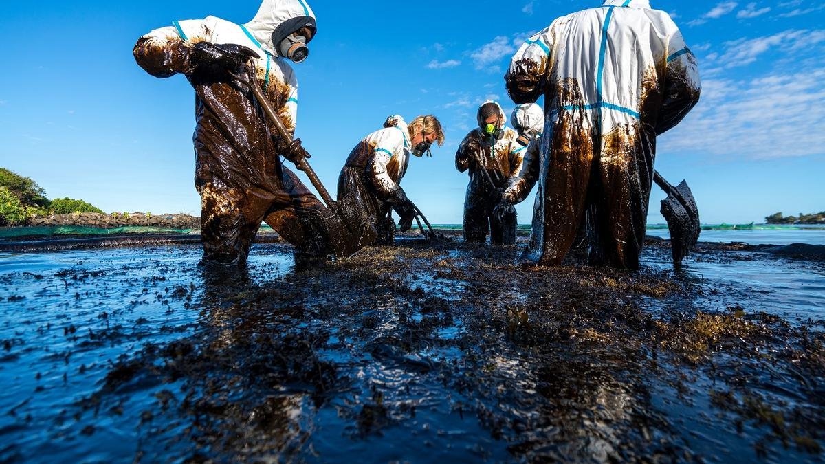 La UE acuerda aumentar las penas por delitos ecológicos