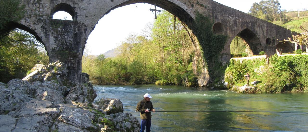 Un pescador en el Sella.