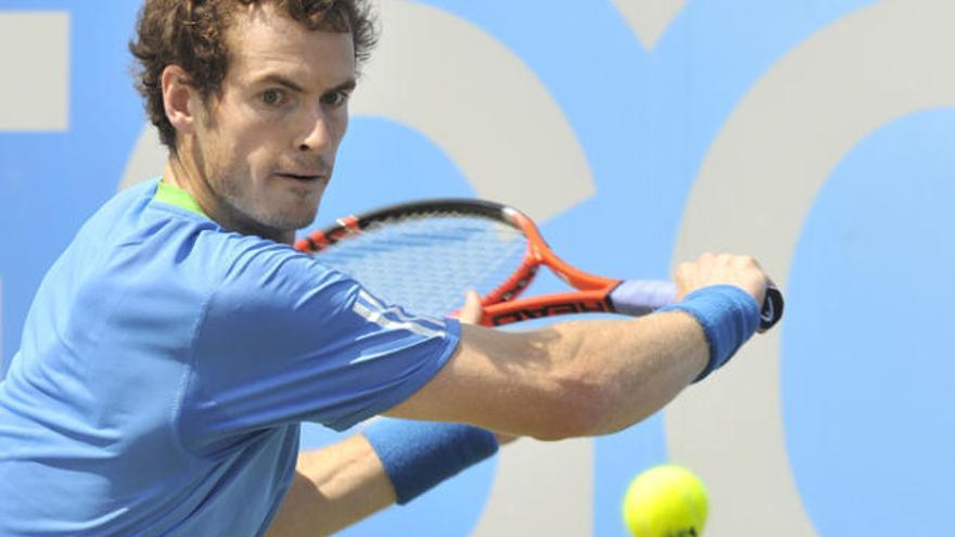 Murray derrota Roddick i jugarà la final de Queen&#039;s