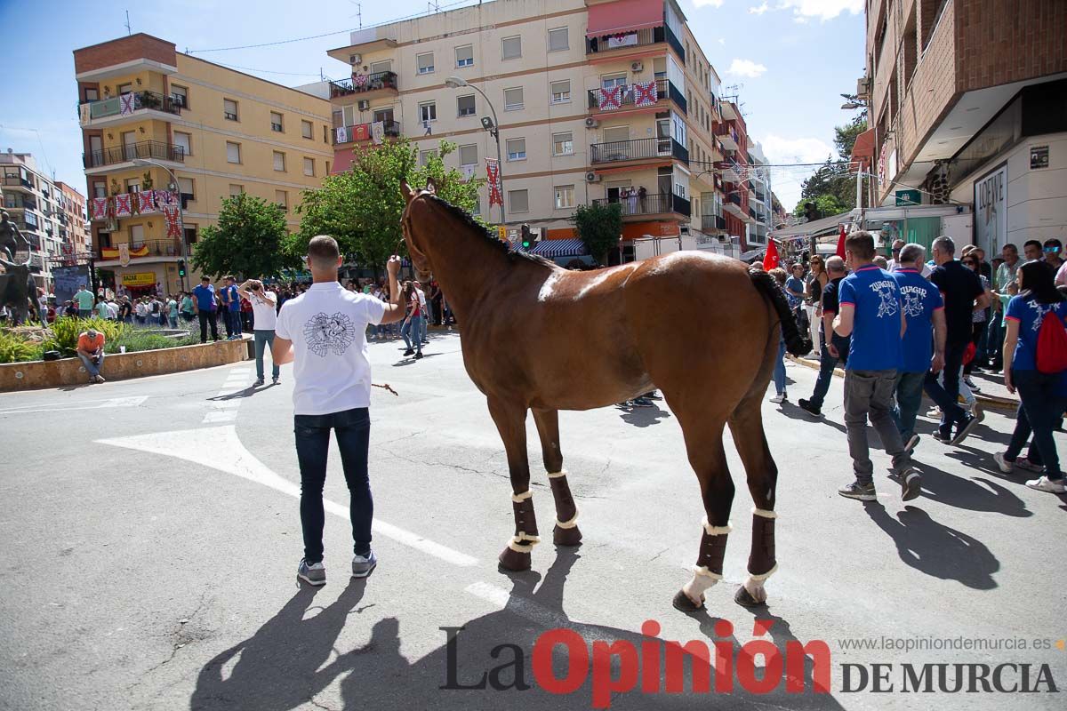 Pasacalles caballos del vino al hoyo