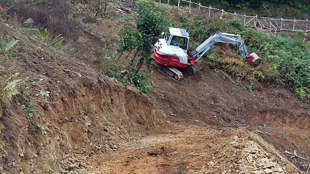 Las tareas de acondicionamiento de la parcela desarrolladas el pasado verano.