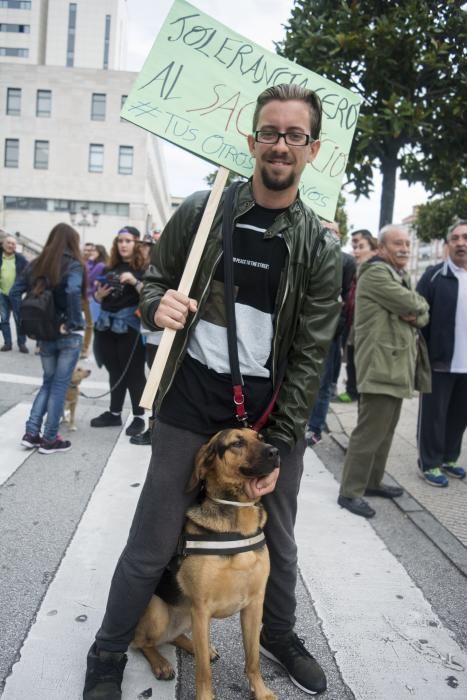 Manifestación por la situación de la perrera de Oviedo