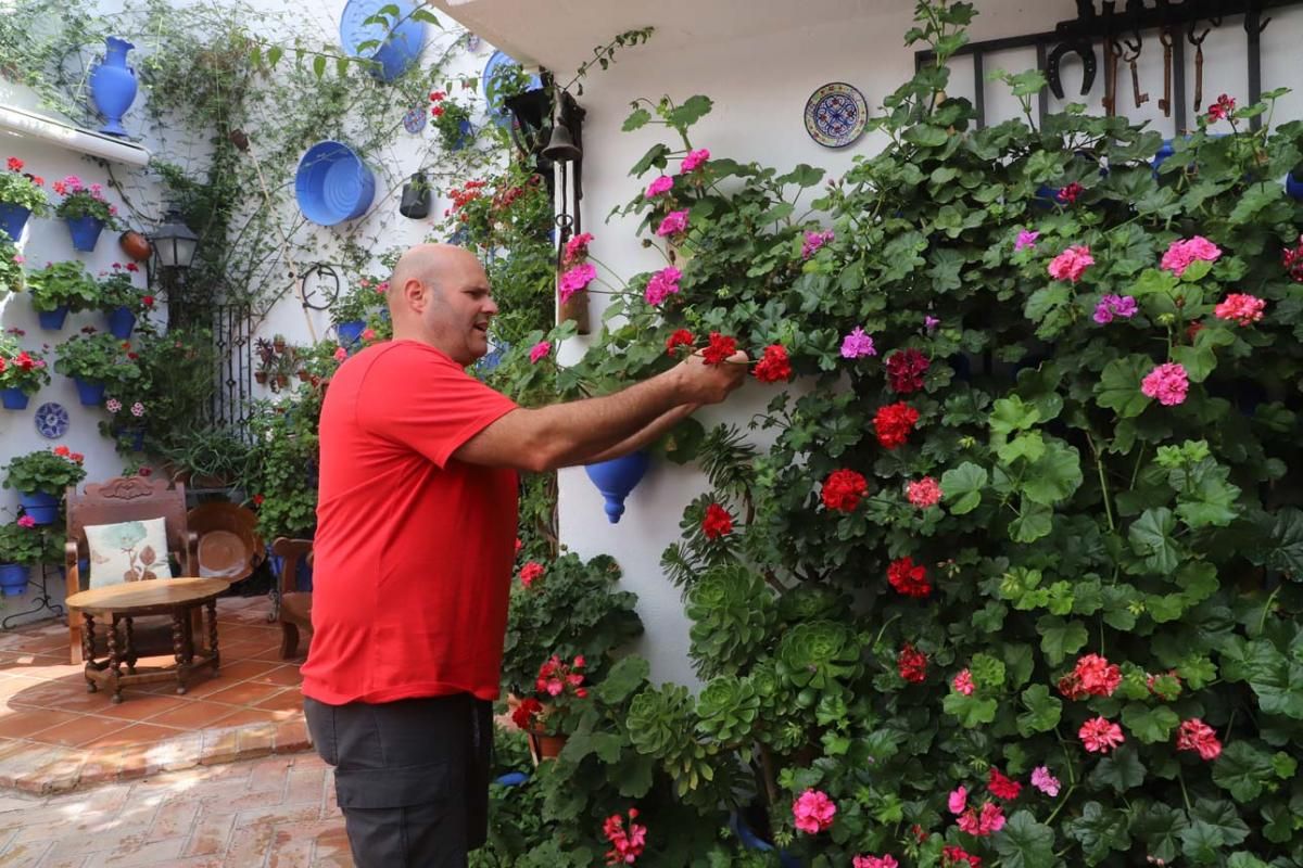 Los patios de Córdoba, San Lorenzo