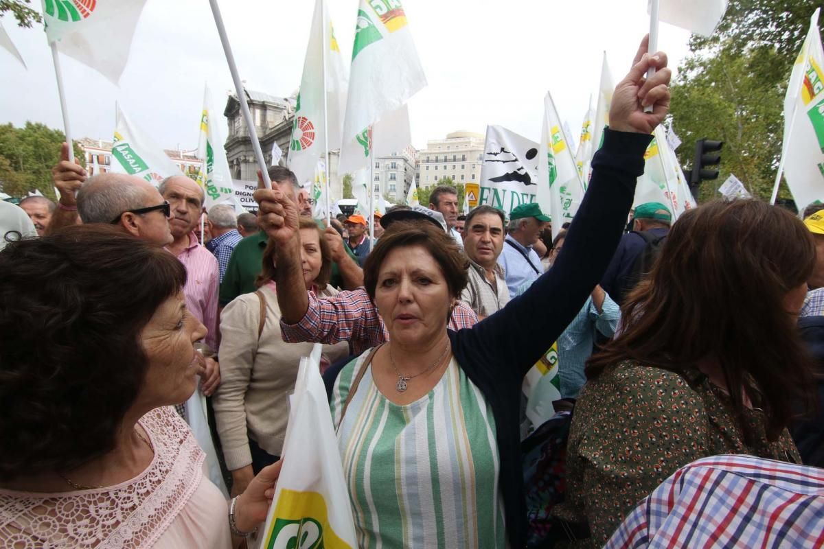 Córdoba se suma a la gran manifestación del olivar en Madrid