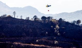La Junta pedirá la declaración de zona catastrófica tras el incendio en Sierra Bermeja y aprobará ayudas