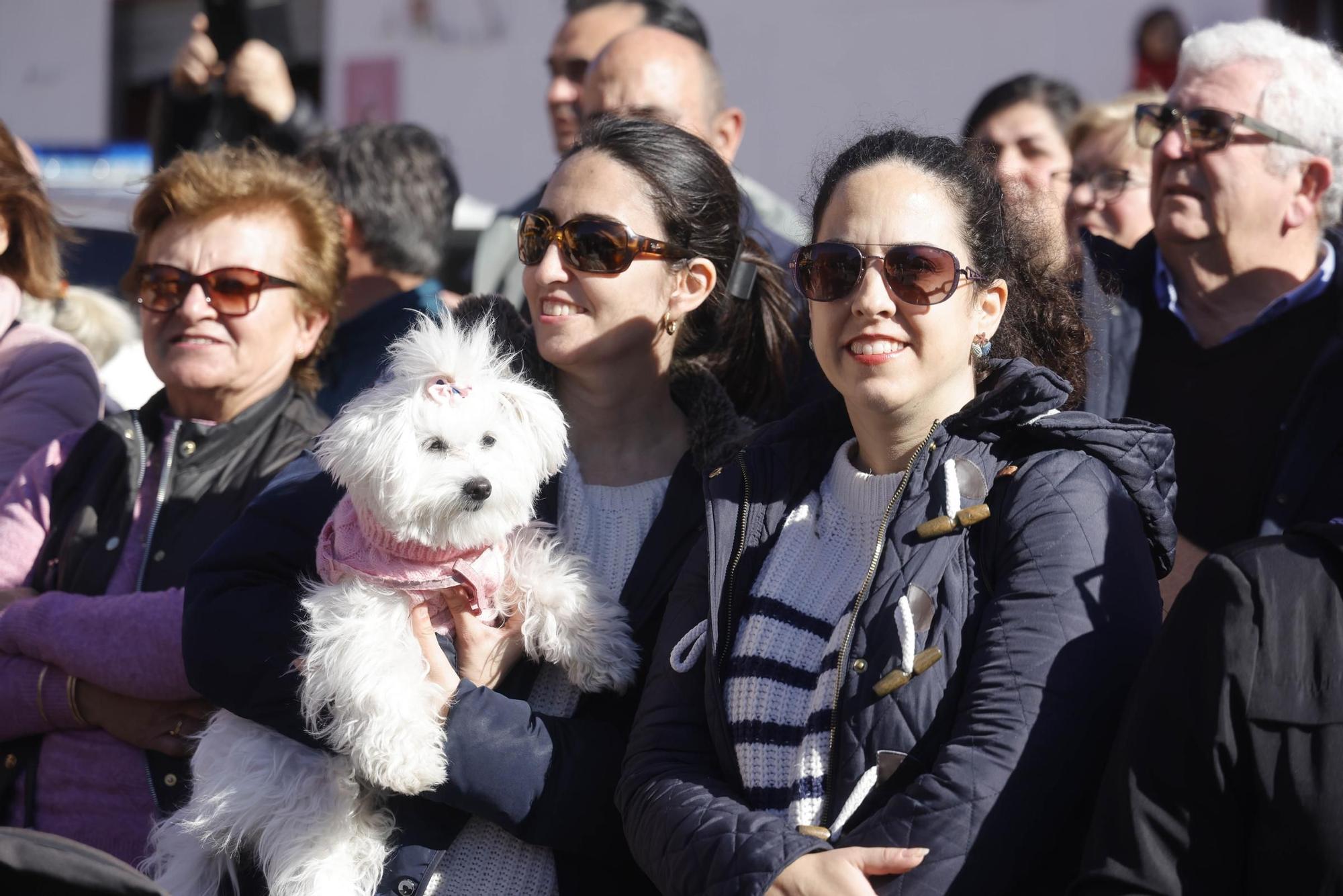 FOTOS: los mejores momentos de la bendición de animales por San Antón en Cartagena