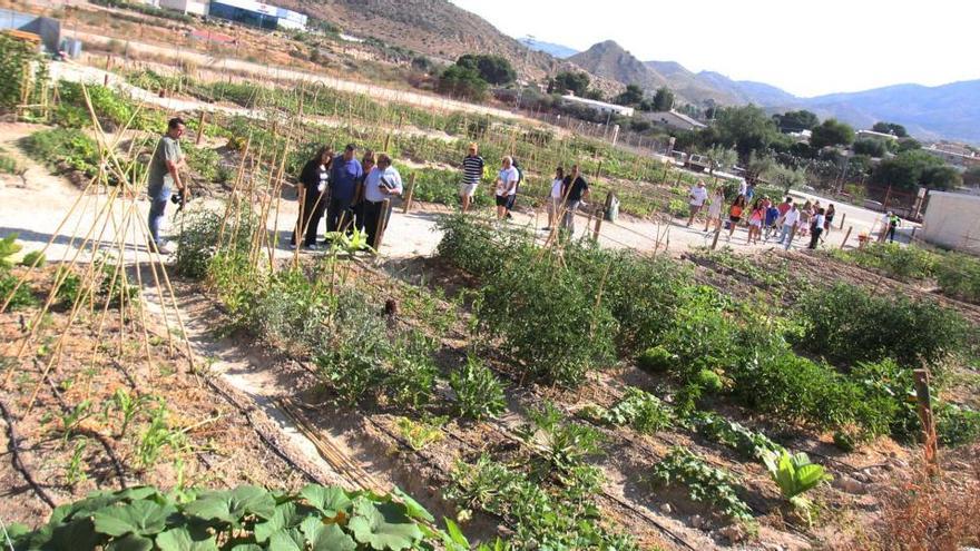 Elda abre los huertos municipales por turnos para evitar aglomeraciones