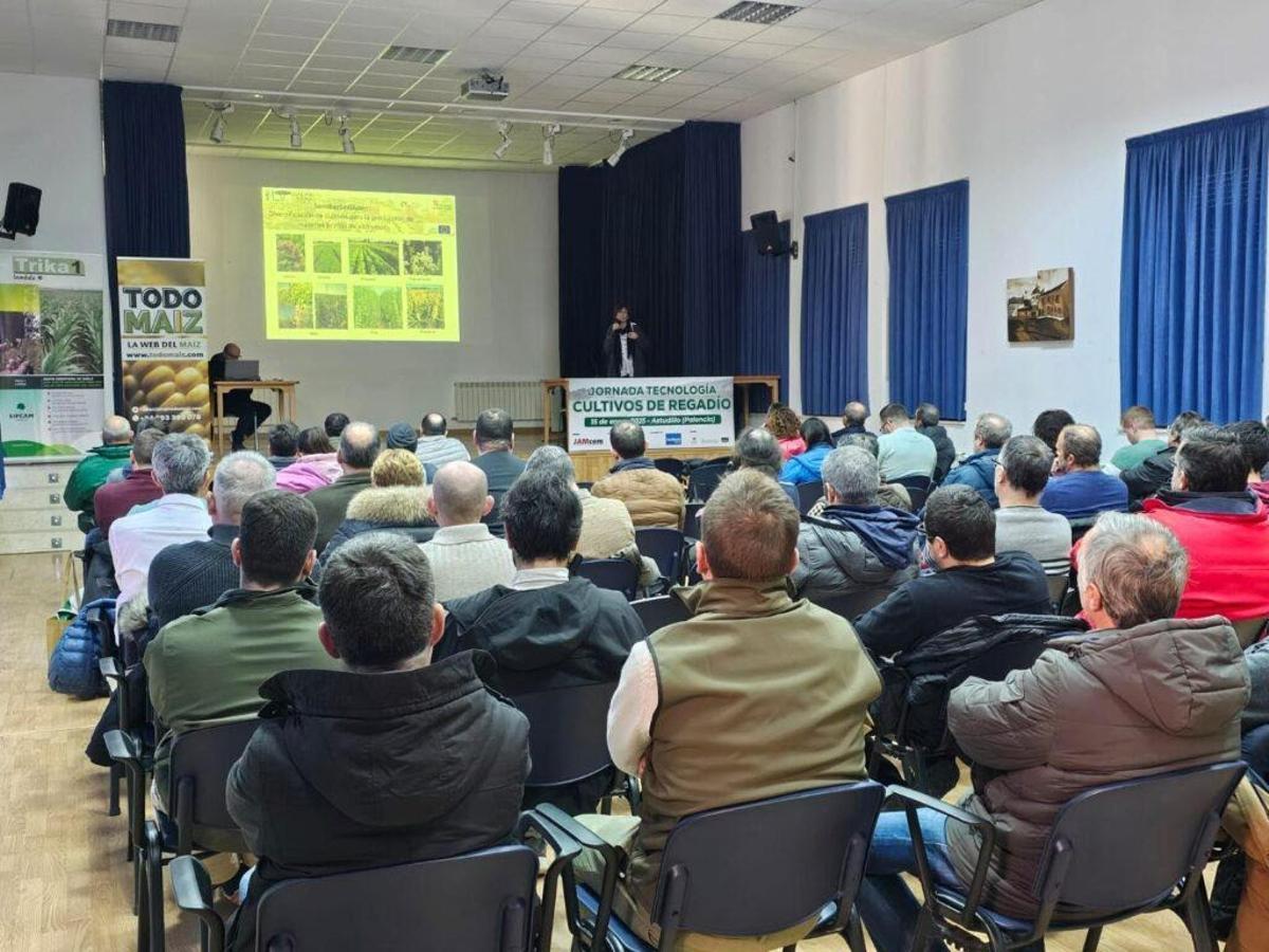 Una de las anteriores jornadas, organizada en Astudillo (Palencia) en 2025.