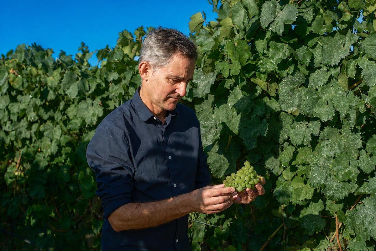 Chema Ureta, director técnico de Bodegas Santiago Ruiz.