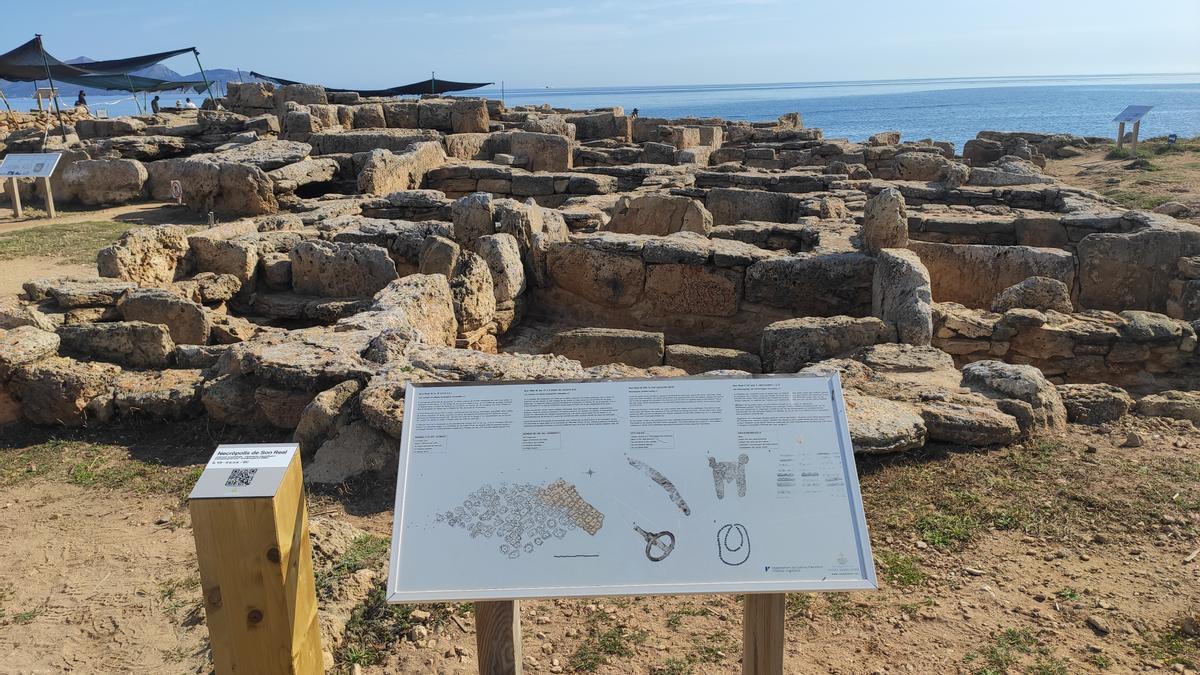 Aparecen los restos de un individuo adulto en una tumba inexplorada de Son Real