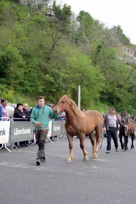 Feria del caballo de Riosa