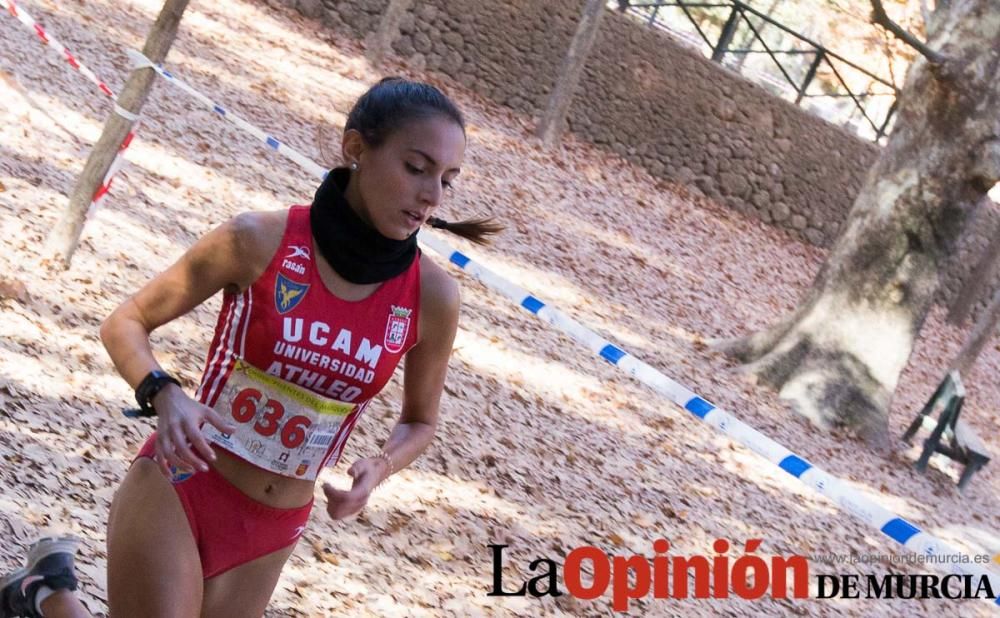 X Cross 'Fuentes del Marqués' (Categorías Master m