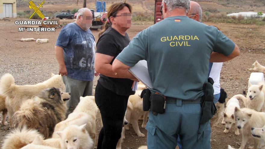 La Benemérita ha contado con la colaboración de veterinarios de la Consejería de Agricultura y Agua de la Comunidad Autónoma