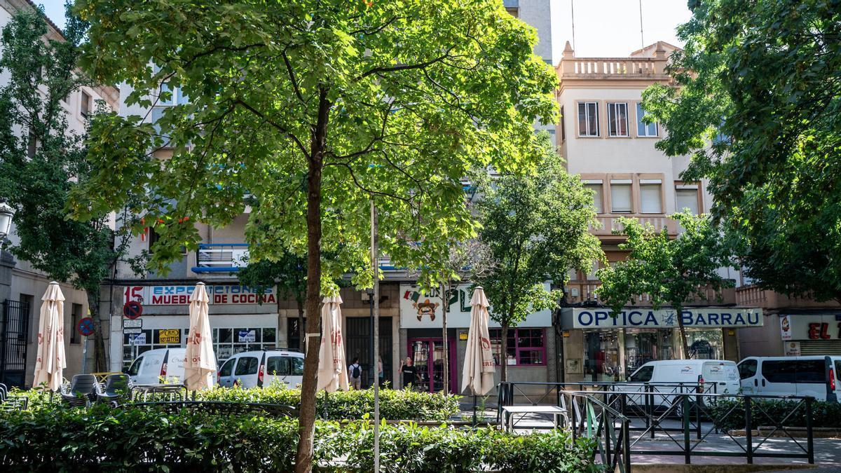 Avenida Virgen de la Montaña de Cáceres