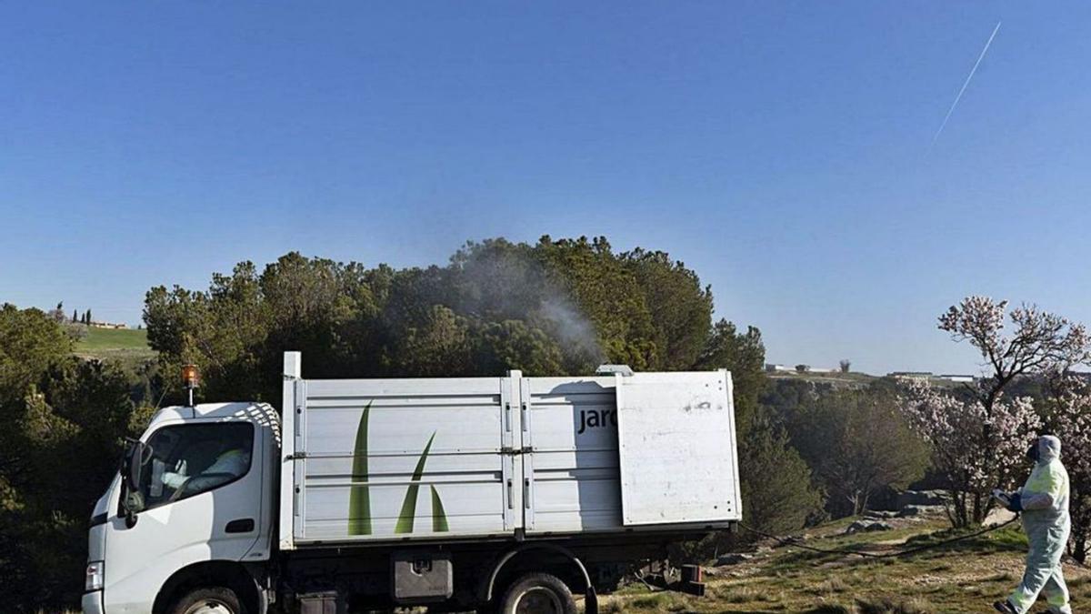 Operarios de jardines trabajan en Valorio.