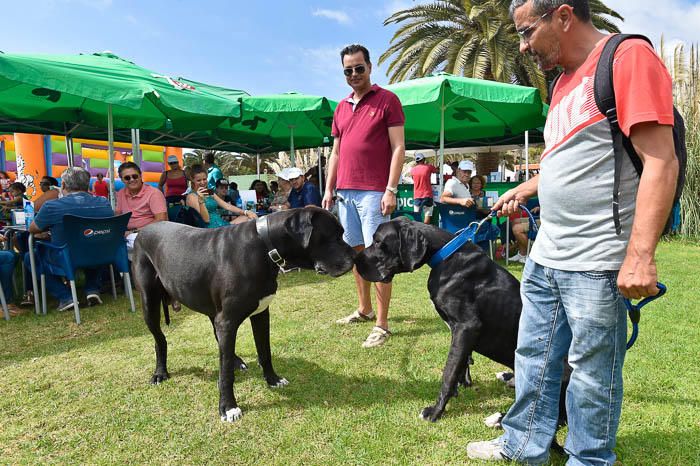 II Feria de mascotas, en Maspalomas