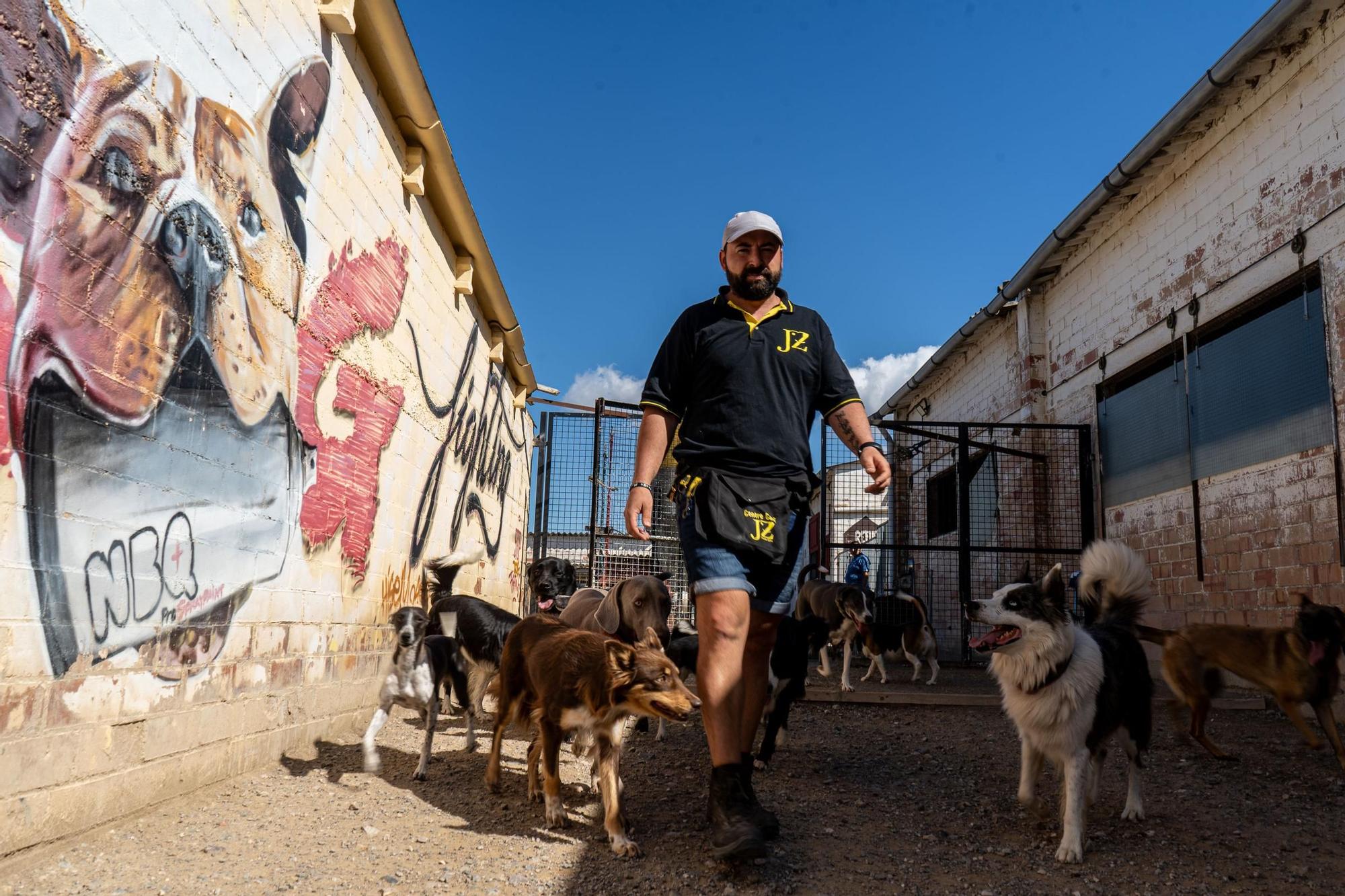 Residències canines: Centre Caní Jonatan Zafra, a Sant Fruitós de Bages