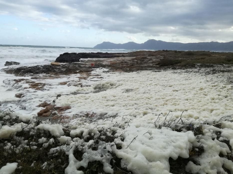 Eine dicke weiße Schaumschicht hat am Sonntag (3.12.) den Strand von Son Serra de Marina bedeckt.  Viele Anwohner und Besucher befürchteten zunächst eine Art Wasserverschmutzung. Von der MZ-Schwesterzeitung befragte Fachleute halten das Phänomen jedoch für eine natürliche Folge der Unwetter der vergangenen Tage.