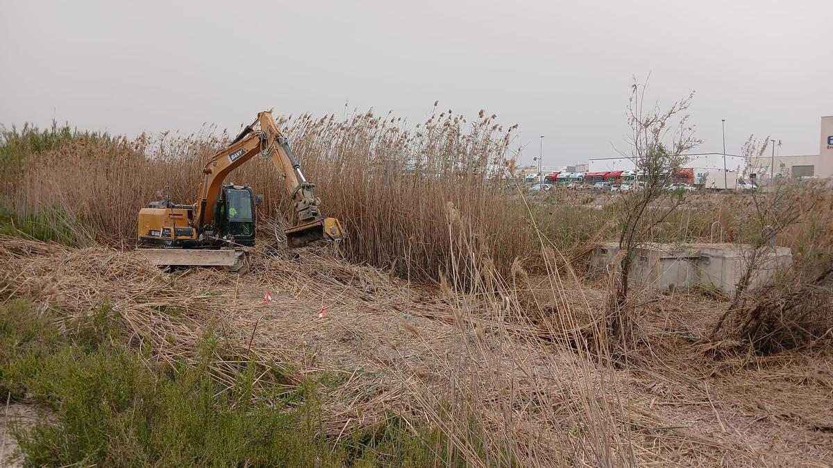 Inundaciones, Molina de Segura | La CHS impulsa en Molina de Segura seis lagunas artificiales para frenar inundaciones