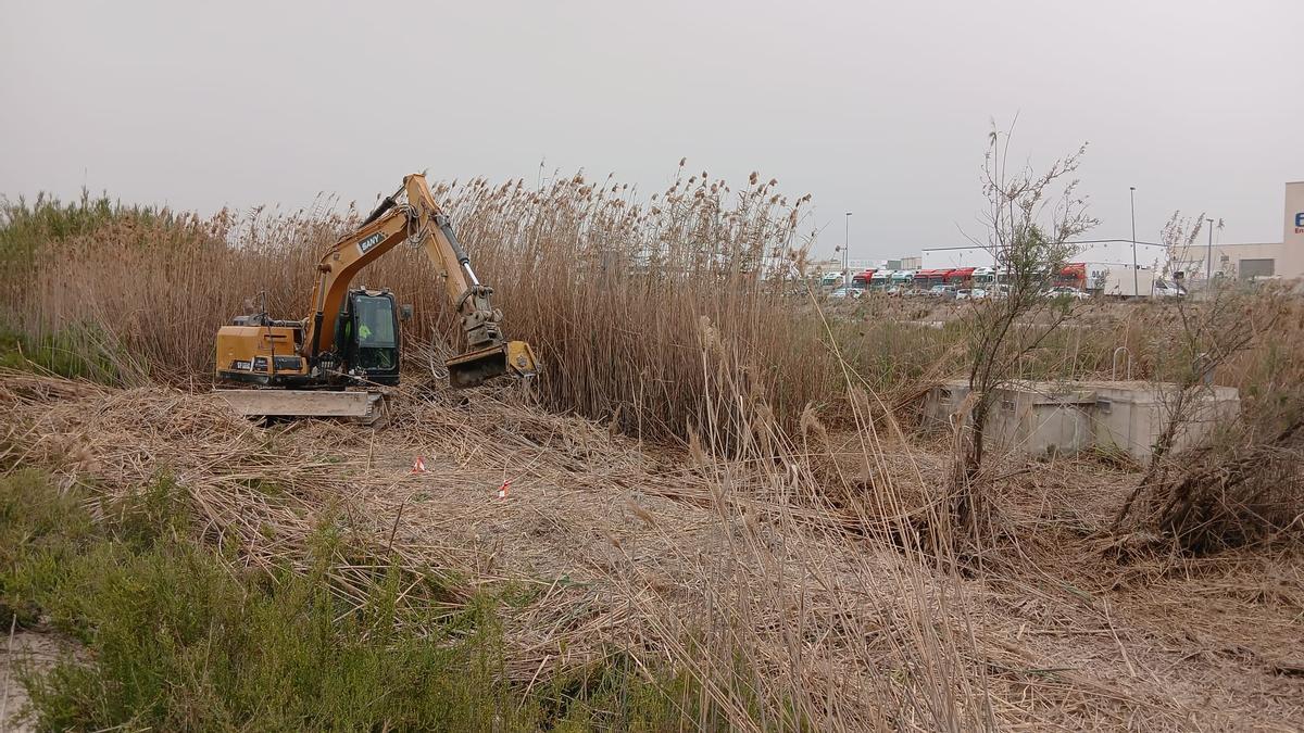 La CHS está ejecutando las obras de restauración y laminación en la cuenca de la cañada de Morcillo.