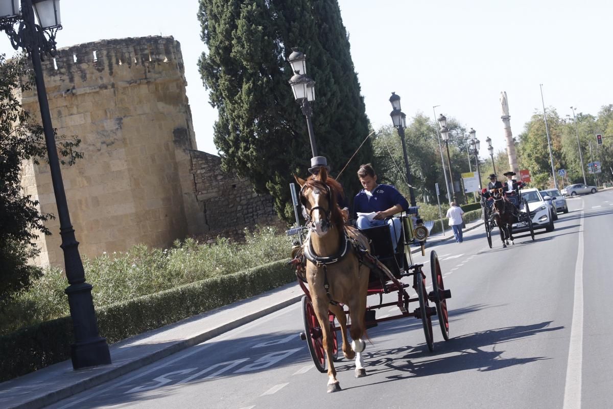 Fotogalería/ Tercera jornada de Cabalcor, concurso de enganches.