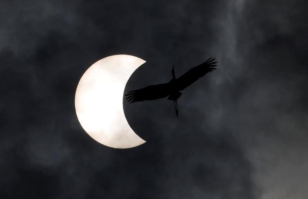 Eclipsi solar anular vist des d'Indonèsia, l'Aràbia Saudita o Tailàndia