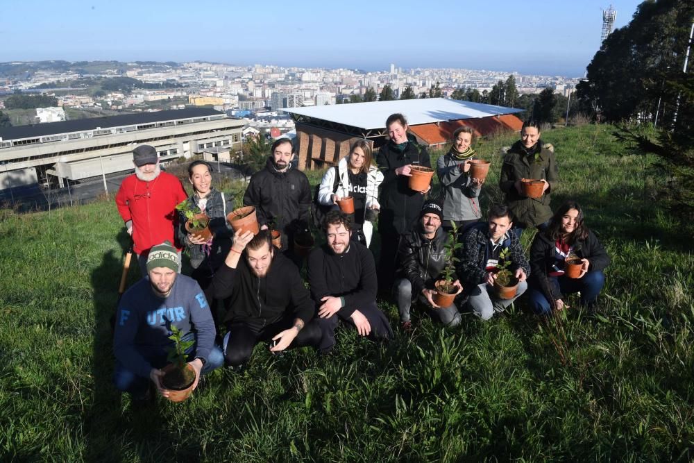 La oficina de medio ambiente de la Universidade da Coruña convoca la plantación de árboles en un antiguo eucaliptal.