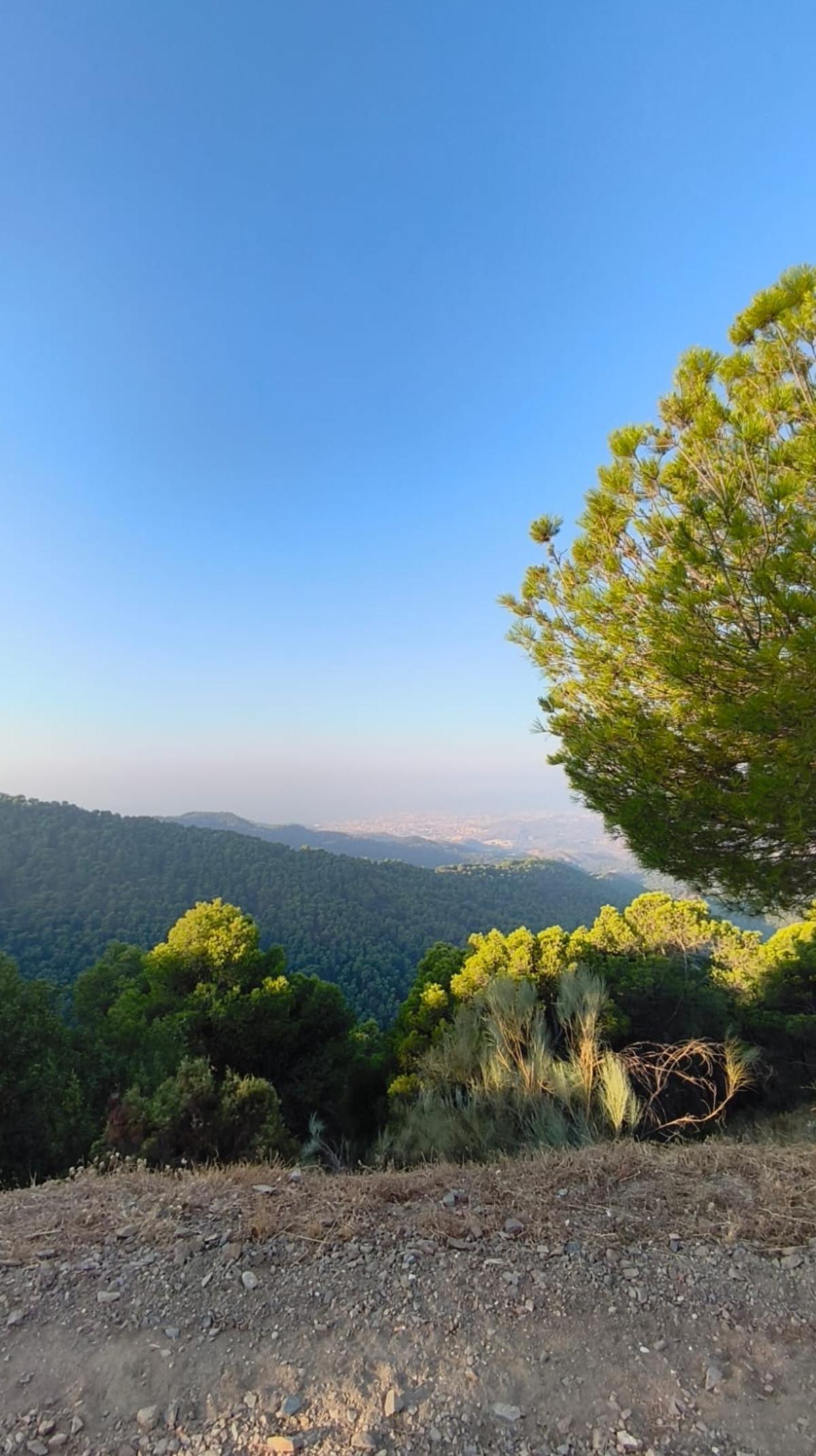 Vistas de Málaga desde el Parque Natural Montes de Málaga.