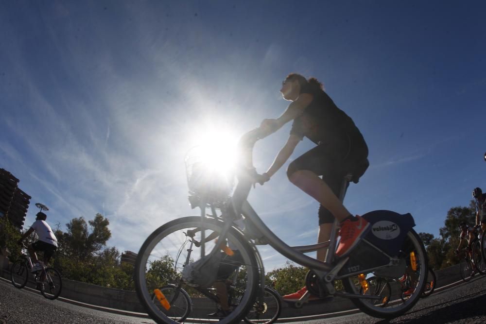 XX Día de la Bicicleta en Valencia