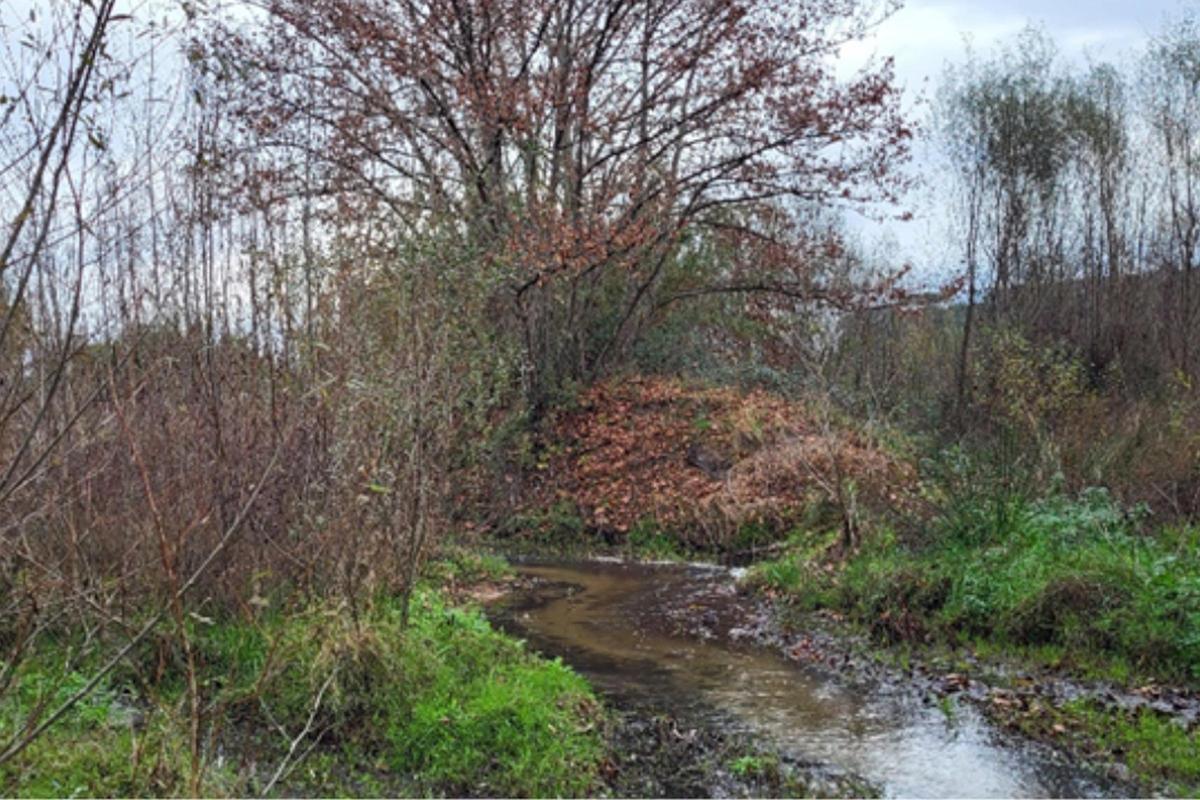 Aiguabarreig de la riera Santa Coloma amb el riu Tordera