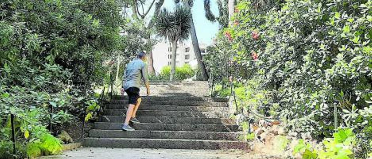 Las escaleras permiten recorrer esta zona verde y unir los diferentes niveles de la plaza Mediterrània y la avenida Gabriel Roca.