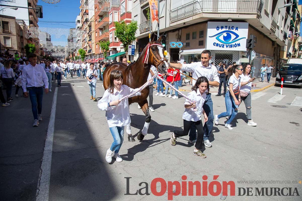 Pasacalles caballos del vino al hoyo