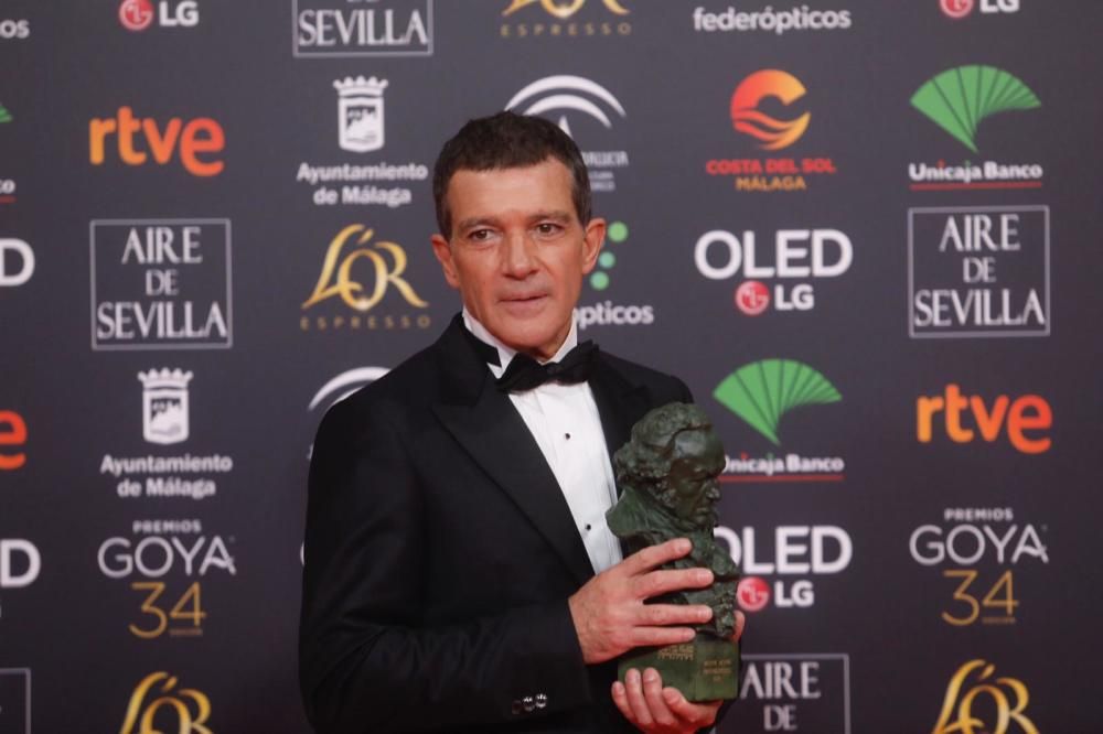 Antonio Banderas, Goya a Mejor Actor por 'Dolor y Gloria'.