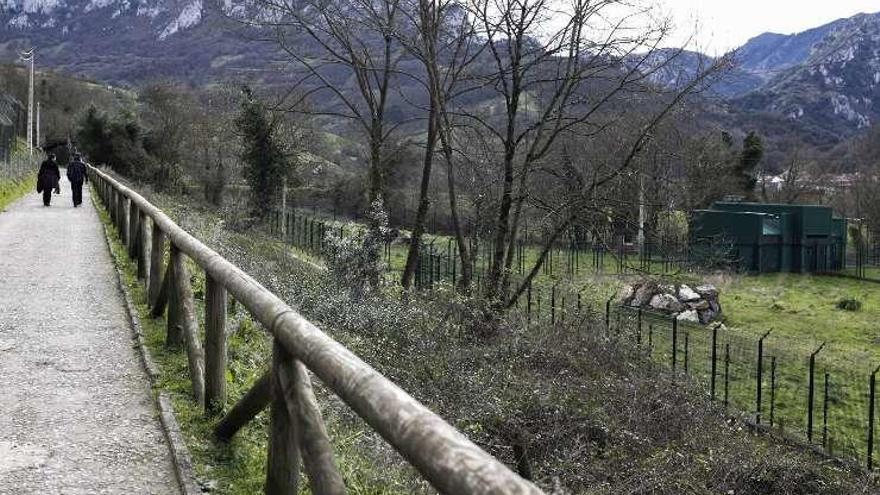 El iglú construido para que &quot;Paca&quot; hiberne.