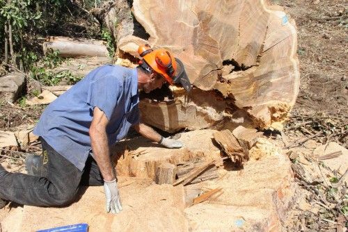 La caída de un gigante