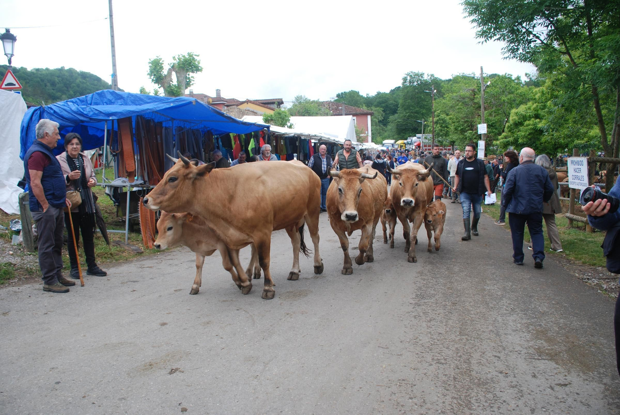 La Feriona de Corao en imágenes