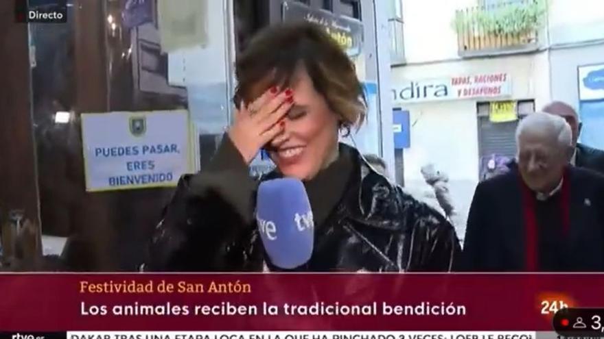 Un perro se la lía en directo a una reportera de TVE durante las celebraciones de San Antón