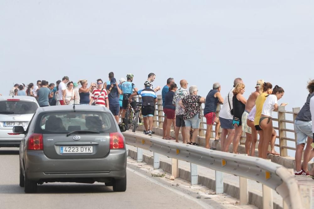 Las imágenes del accidente de avión en La Manga en el que ha muerto un piloto de la Patrulla Águila