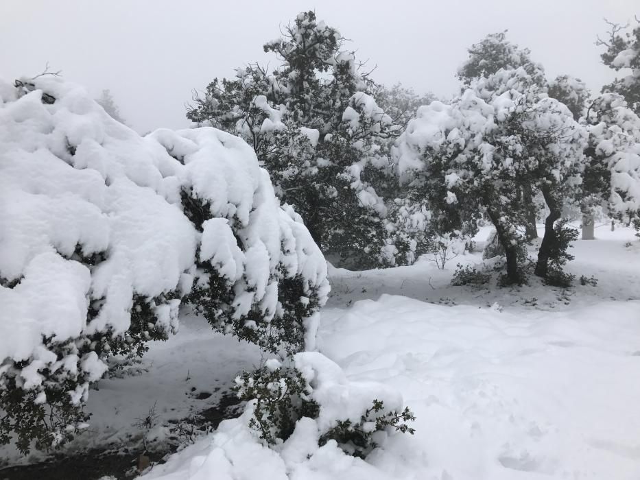 Vuelve a nevar en las montañas alicantinas