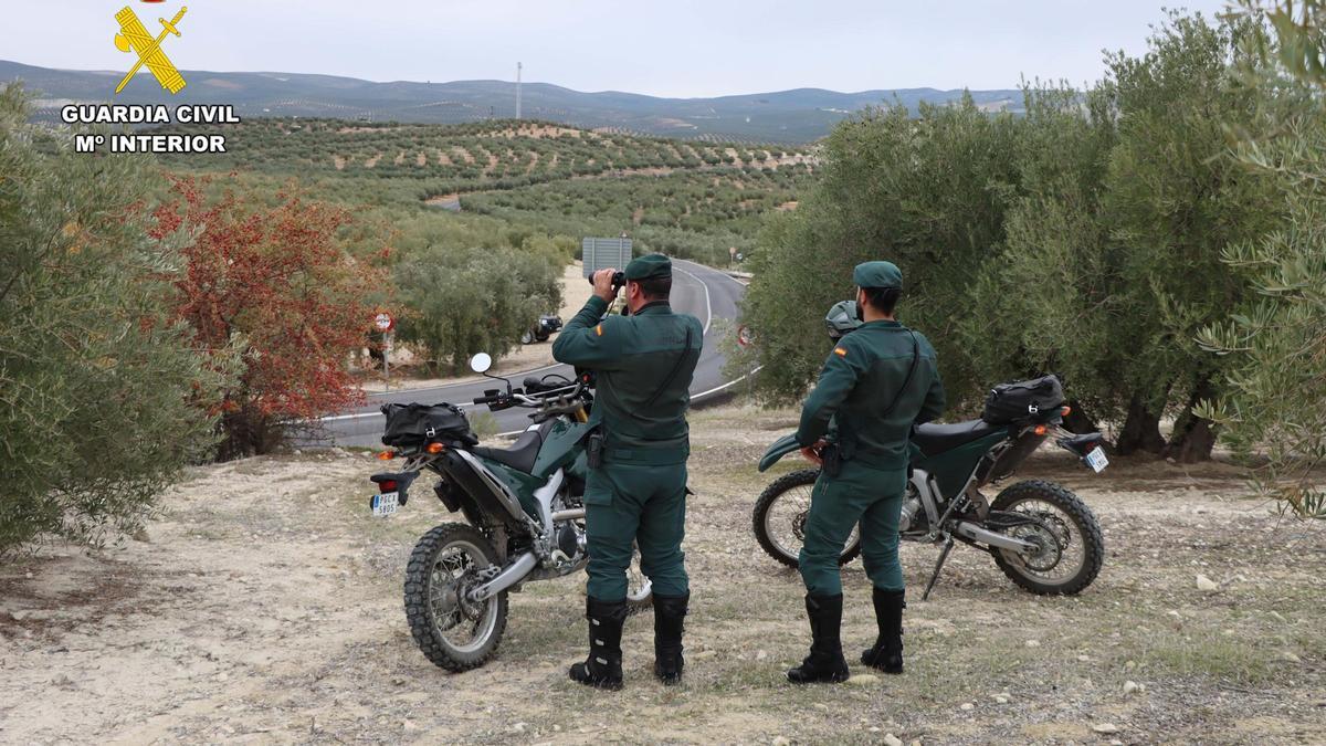 Una patrulla del Seprona en la provincia de Córdoba.