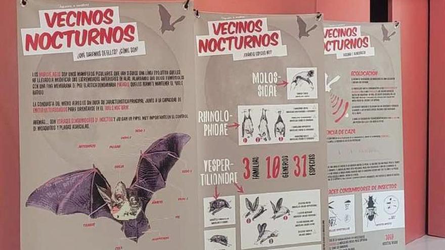 Fin de semana entre murciélagos, anfibios y rutas en los espacios protegidos de la Región