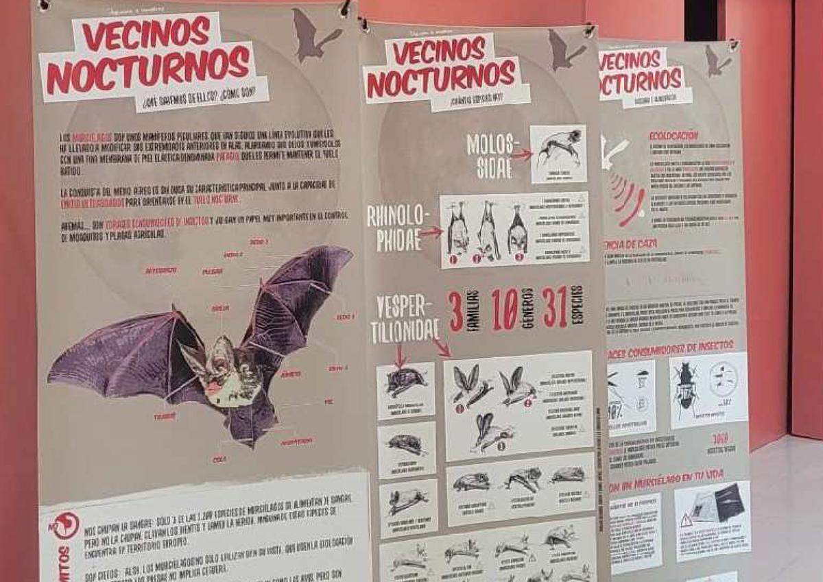 Carteles de la exposición 'Murciélagos: los guardianes de la noche' en el Área de Educación Ambiental del Centro de Recuperación de Fauna de El Valle