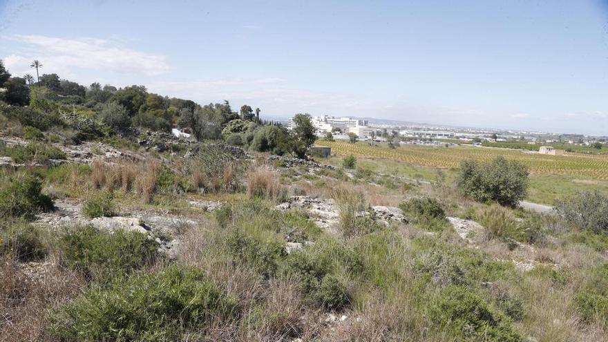 Alzira pone freno a un PAI de 400 casas junto al hospital tras 18 años en tramitación